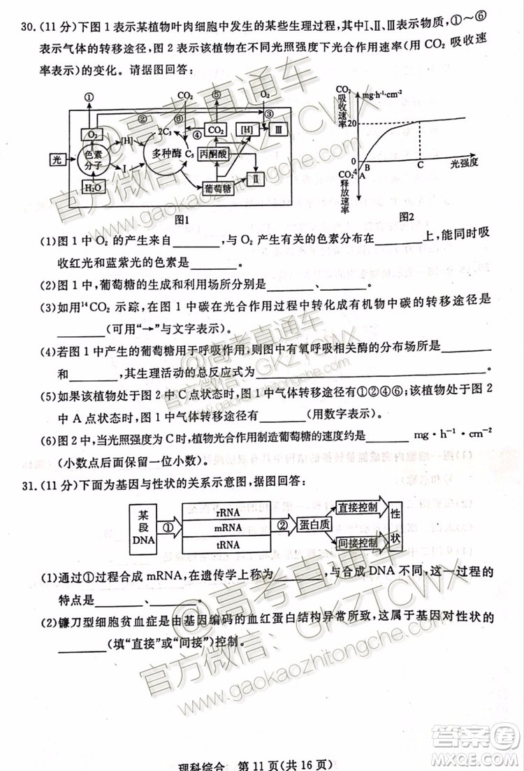 2020屆湛江市高三9月調(diào)研考試文理綜試題及參考答案