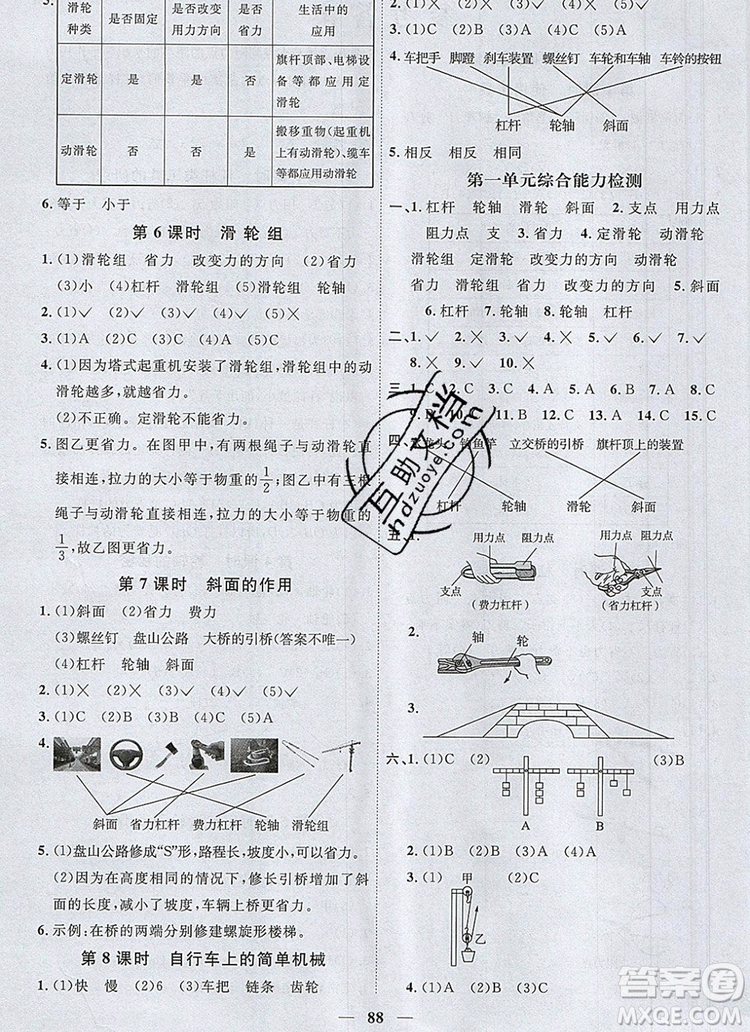 2019年陽(yáng)光同學(xué)課時(shí)優(yōu)化作業(yè)六年級(jí)科學(xué)上冊(cè)教科版參考答案