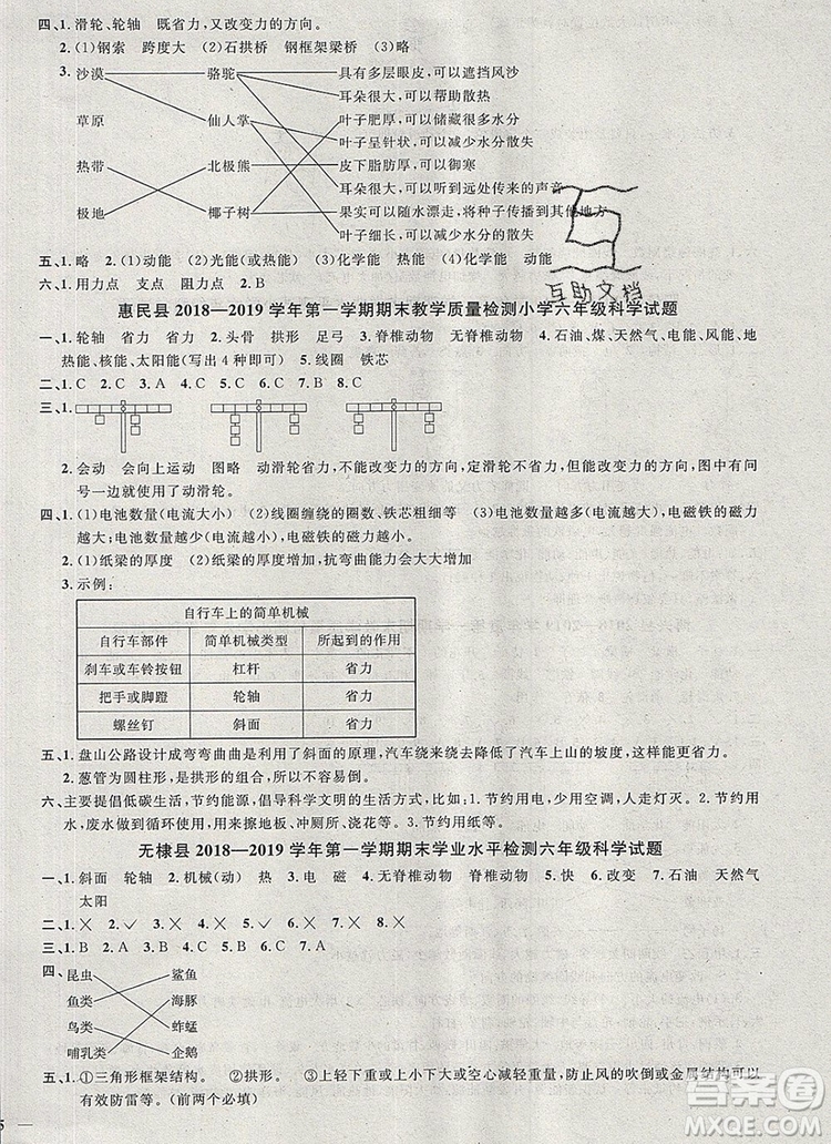 2019年陽(yáng)光同學(xué)課時(shí)優(yōu)化作業(yè)六年級(jí)科學(xué)上冊(cè)教科版參考答案