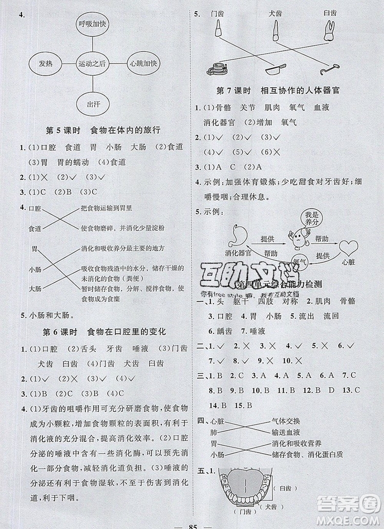 2019年陽光同學(xué)課時優(yōu)化作業(yè)四年級科學(xué)上冊教科版參考答案