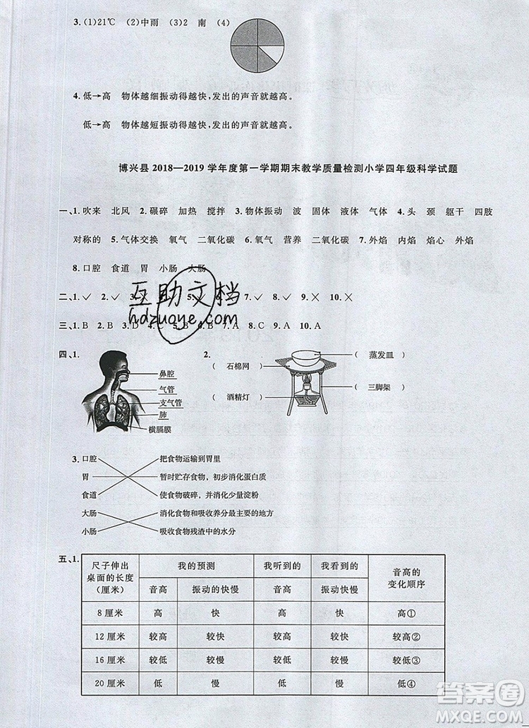 2019年陽光同學(xué)課時優(yōu)化作業(yè)四年級科學(xué)上冊教科版參考答案