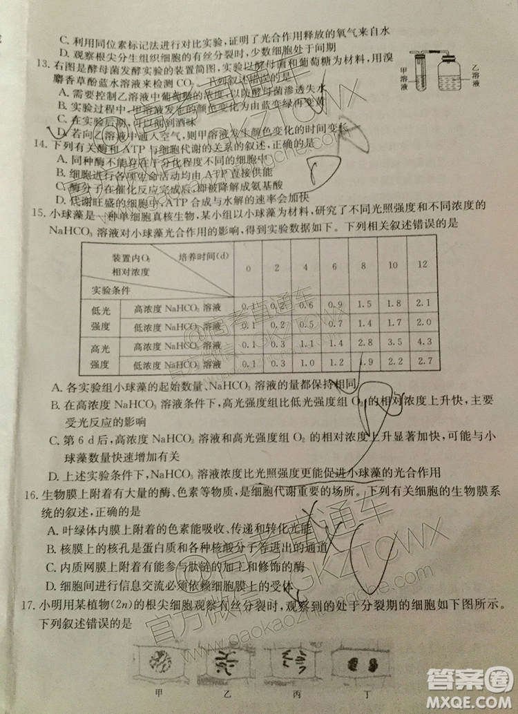 2020湖南金太陽高三9月聯(lián)考生物試題及參考答案