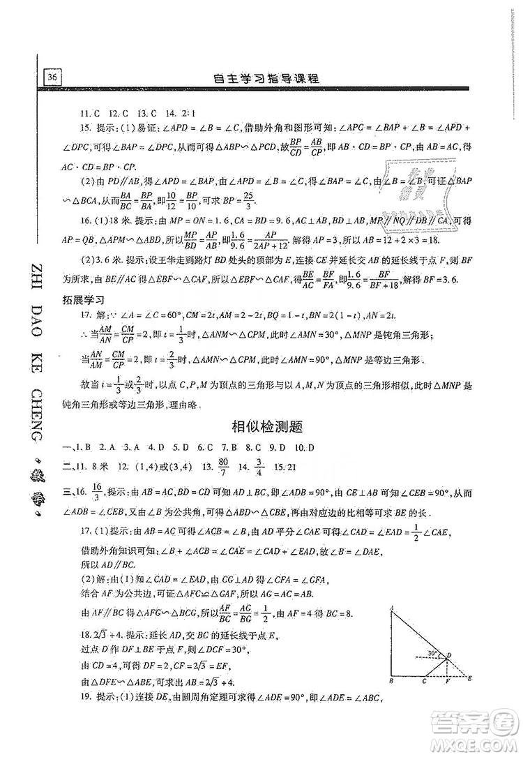 明天出版社2019自主學習指導課程九年級數(shù)學上冊答案