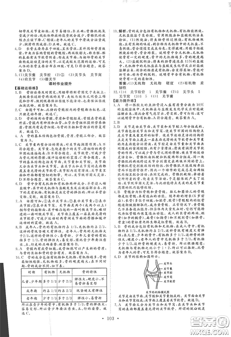 海南出版社2019新課程同步練習(xí)冊八年級生物上冊北師大版答案