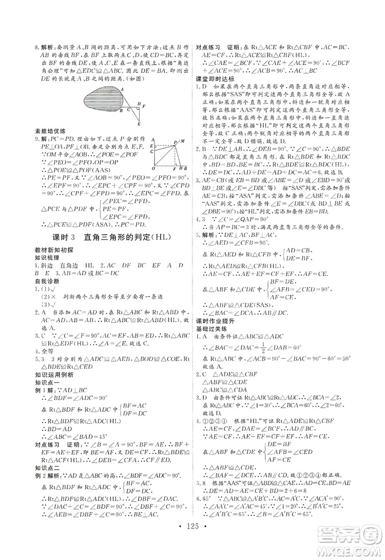 海南出版社2019新課程同步練習冊數(shù)學八年級上冊人教版答案