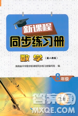 海南出版社2019新課程同步練習冊數(shù)學八年級上冊人教版答案