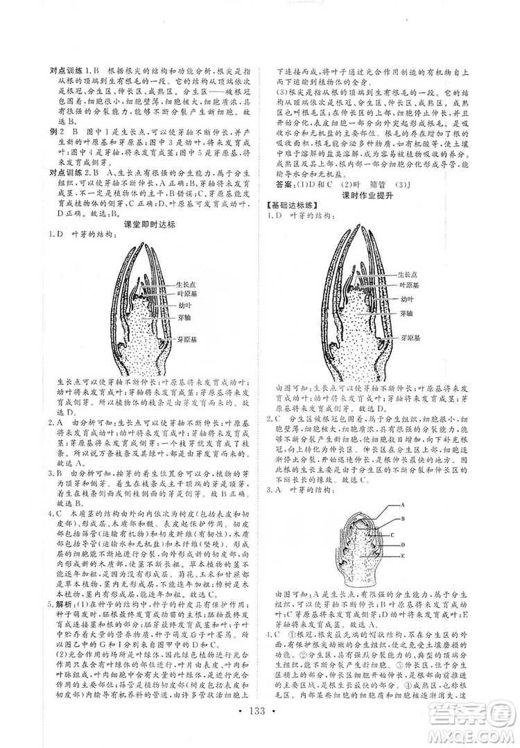 2019海南出版社新課程同步練習(xí)冊(cè)生物學(xué)七年級(jí)上冊(cè)北師大版答案