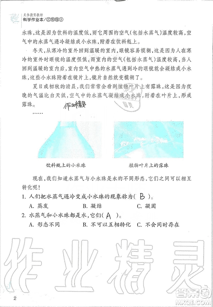 浙江教育出版社2019義務教育教材科學作業(yè)本三年級上冊人教版答案