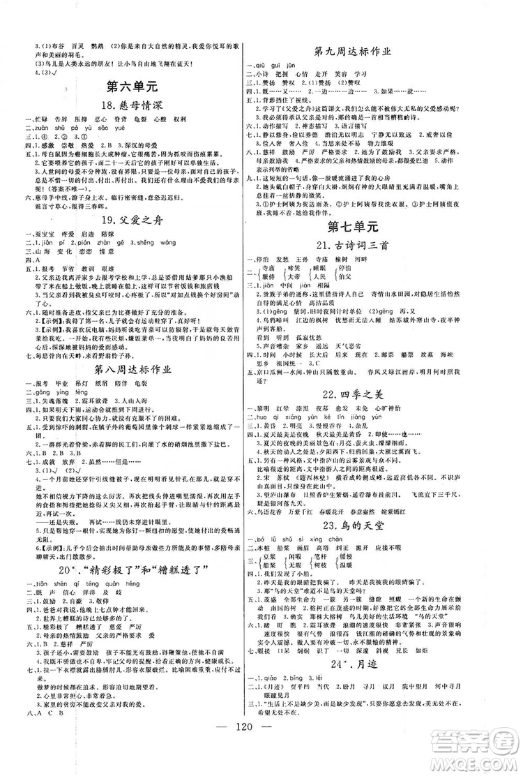 陽(yáng)光出版社2019快樂練習(xí)作業(yè)本語(yǔ)文五年級(jí)上冊(cè)人教版答案