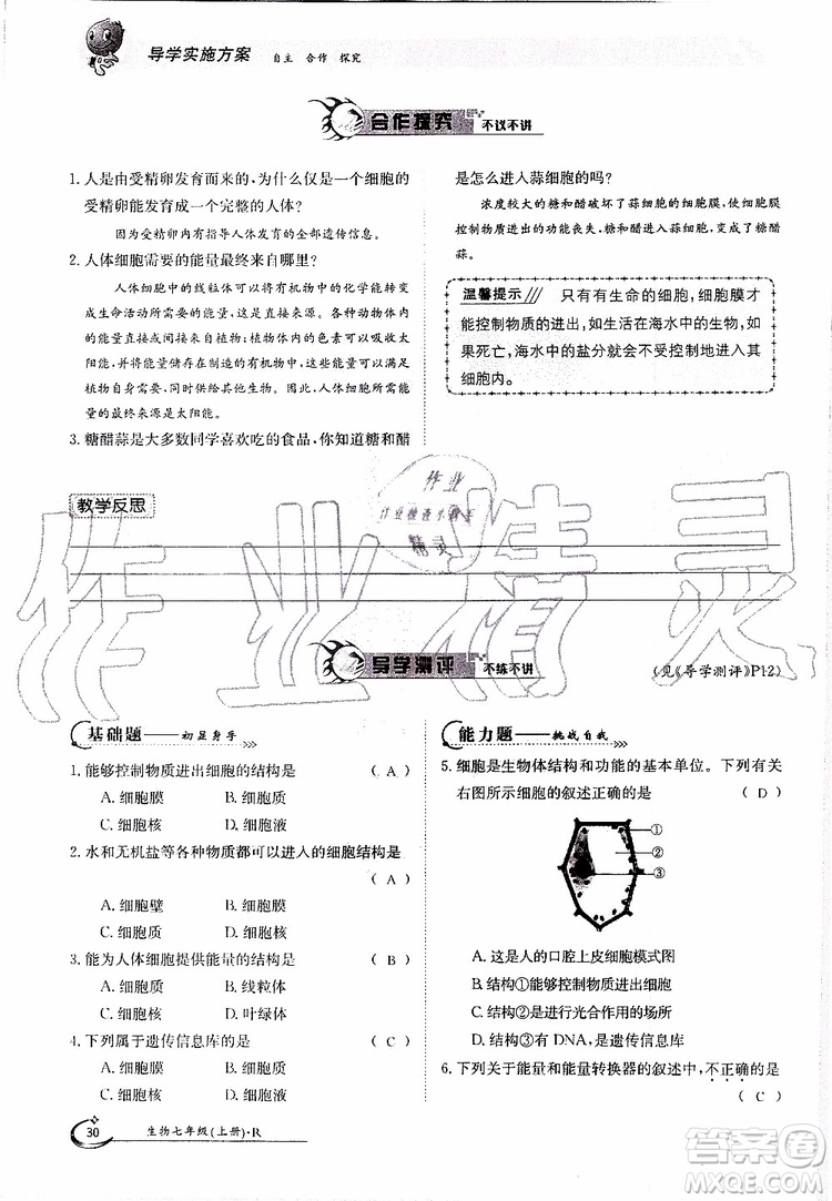 金太陽(yáng)教育2019年金太陽(yáng)導(dǎo)學(xué)案生物七年級(jí)上冊(cè)創(chuàng)新版參考答案