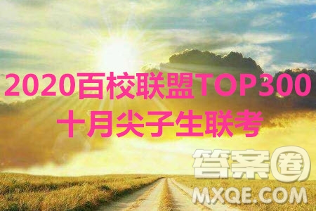 2020百校聯(lián)盟TOP300十月尖子生聯(lián)考文數(shù)試題及參考答案