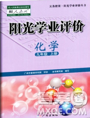 2019年陽光學(xué)業(yè)評價(jià)化學(xué)九年級上冊人教版參考答案