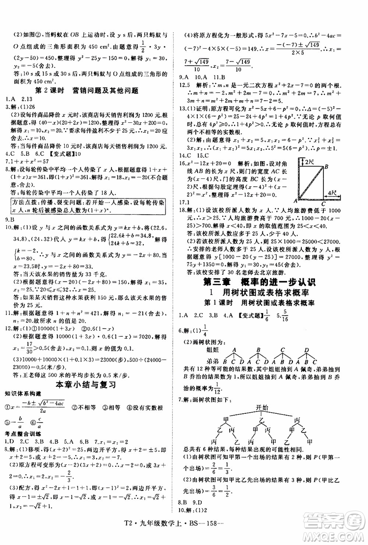 2019秋優(yōu)翼叢書學(xué)練優(yōu)數(shù)學(xué)九年級上BS北師版參考答案