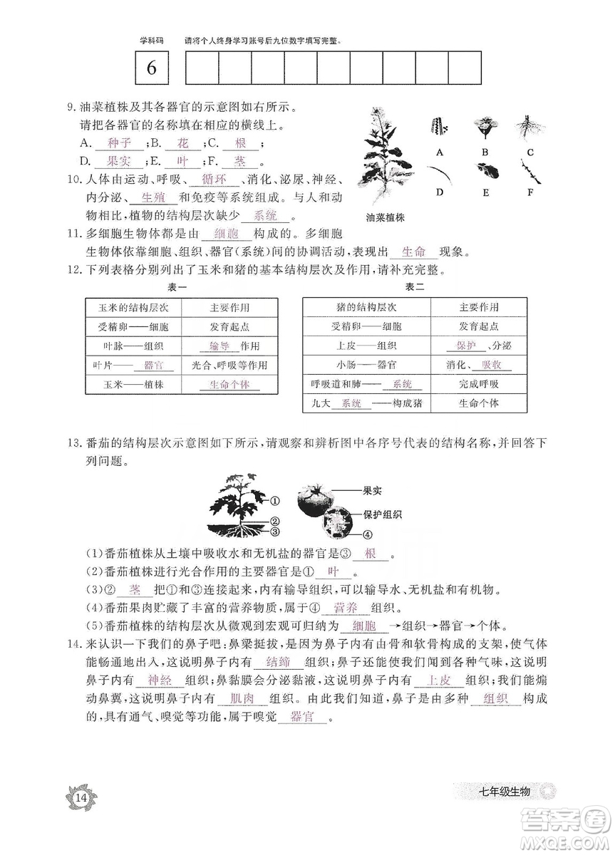 江西教育出版社2019生物作業(yè)本七年級(jí)上冊(cè)河北少兒版答案