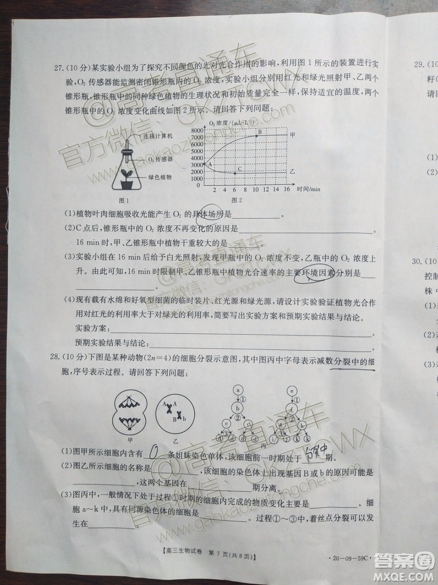 2020屆山西金太陽10月第二次聯(lián)考生物試題及參考答案