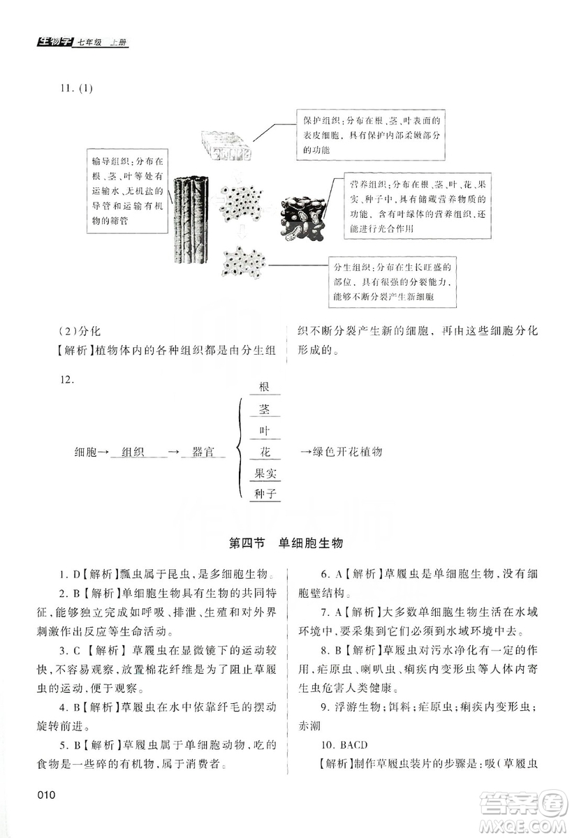 天津教育出版社2019學(xué)習(xí)質(zhì)量監(jiān)測(cè)生物學(xué)七年級(jí)上冊(cè)人教版答案