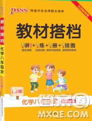 2019年P(guān)ASS綠卡圖書教材搭檔化學八年級全一冊魯教版五四制參考答案