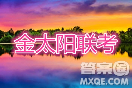 2020屆廣西南寧百色金太陽高三10月聯(lián)考理科綜合試題及參考答案