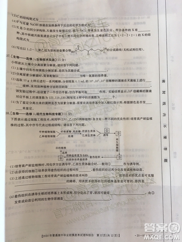 2020屆廣西南寧百色金太陽高三10月聯(lián)考理科綜合試題及參考答案