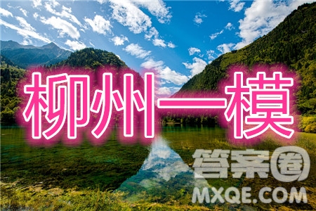 2020屆柳州一模理綜試題及參考答案