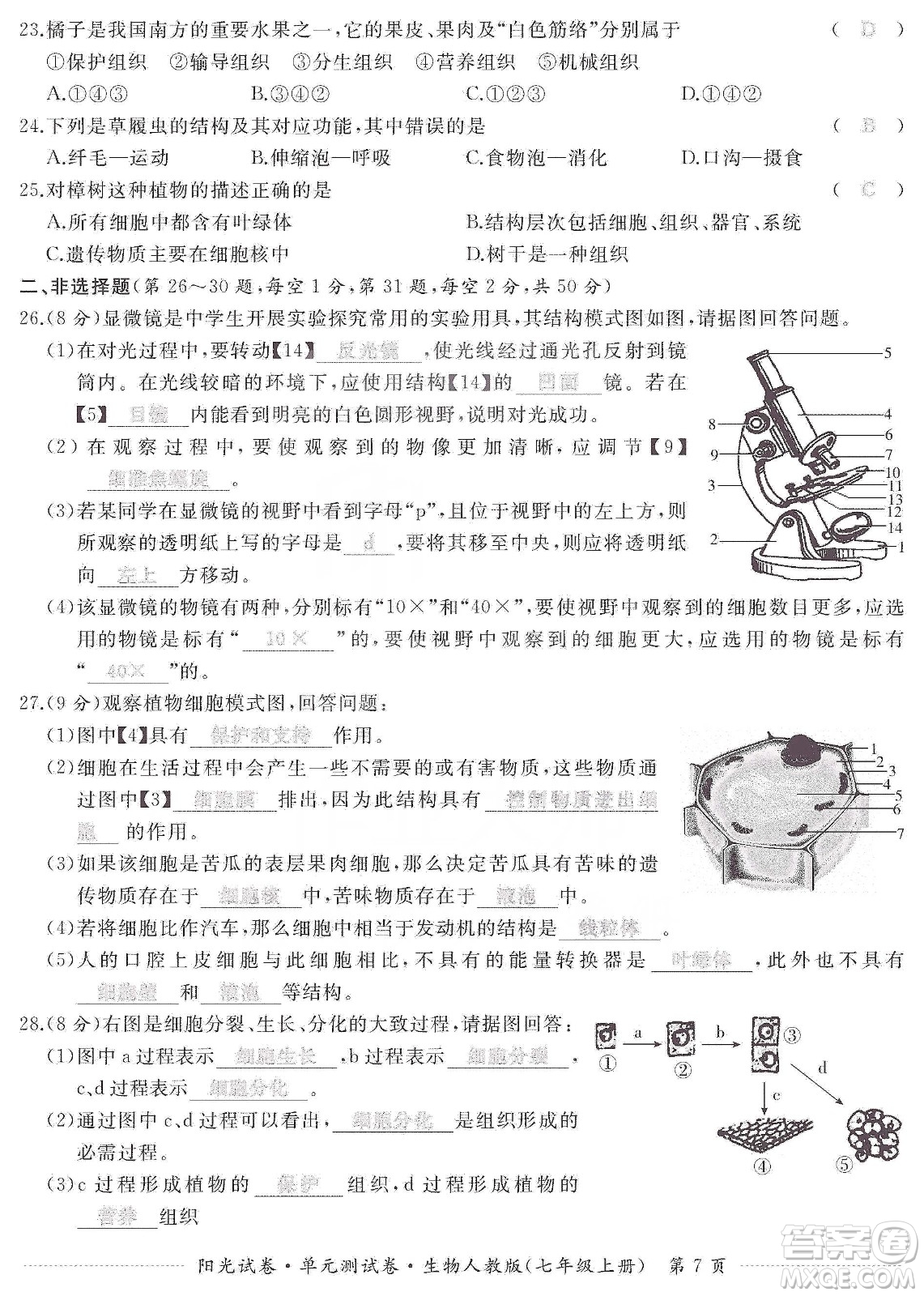 江西高校出版社2019陽光試卷單元測試卷七年級生物上冊人教版答案