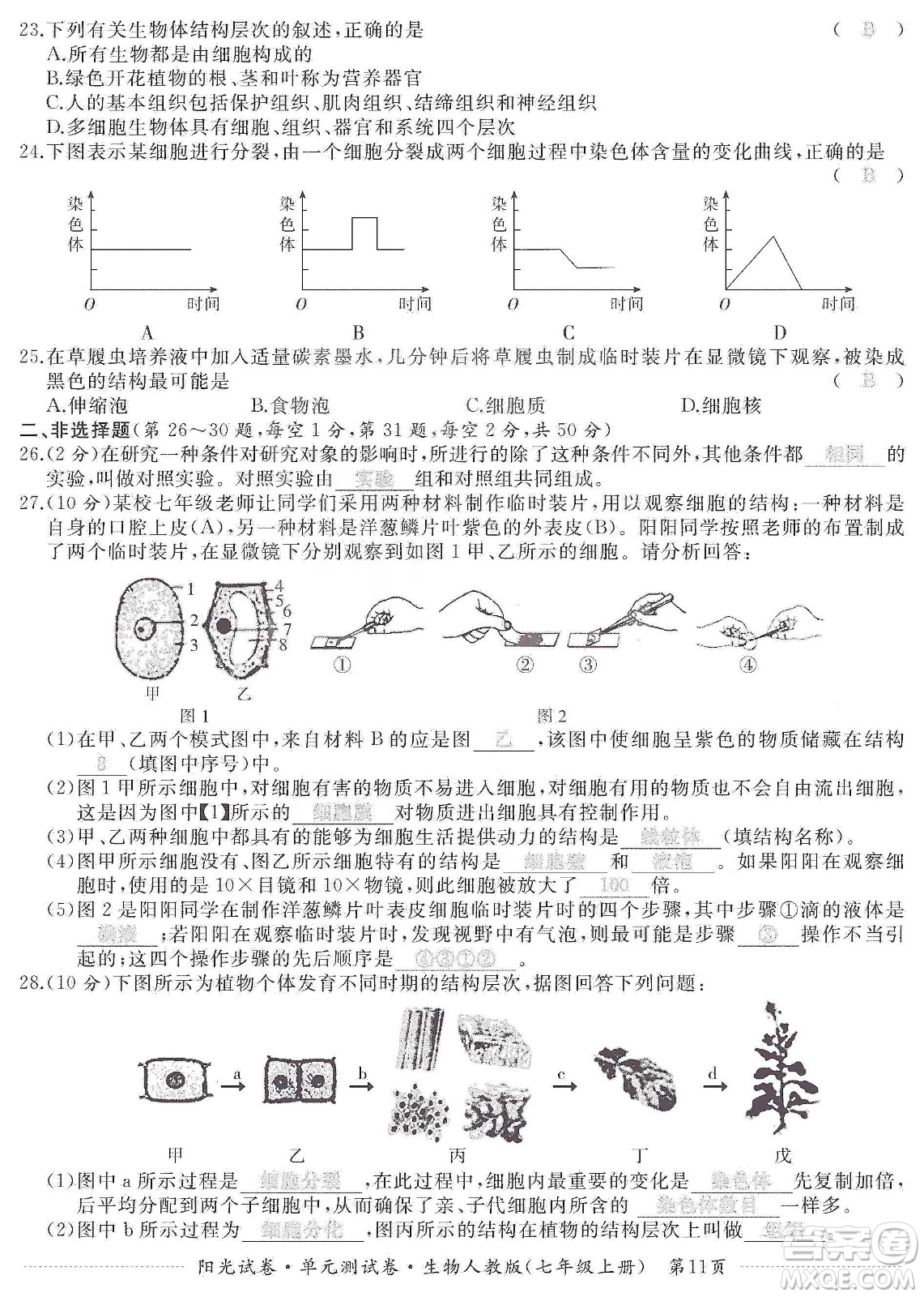 江西高校出版社2019陽光試卷單元測試卷七年級生物上冊人教版答案