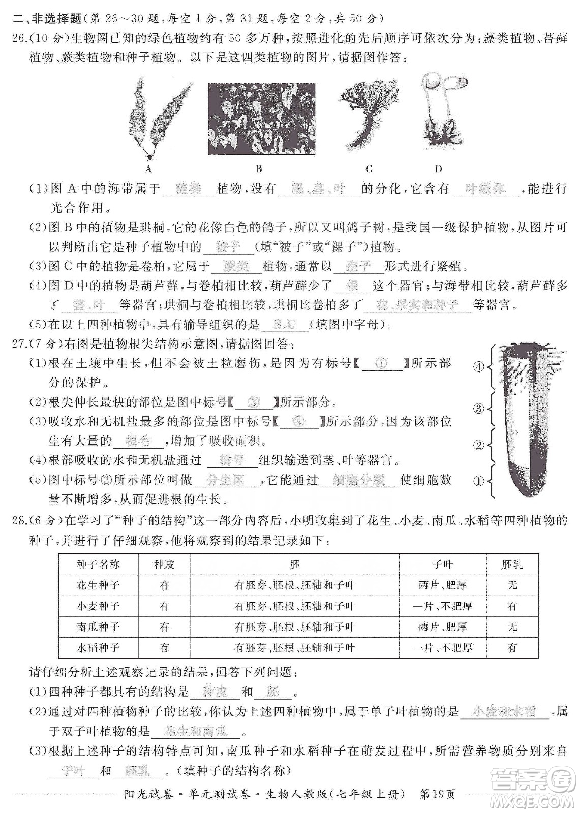 江西高校出版社2019陽光試卷單元測試卷七年級生物上冊人教版答案