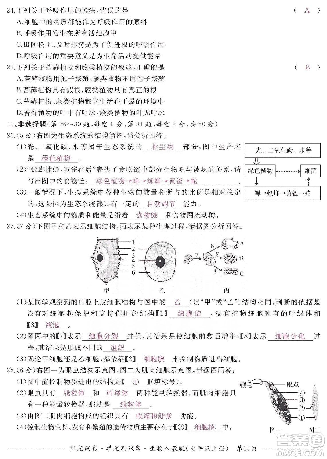 江西高校出版社2019陽光試卷單元測試卷七年級生物上冊人教版答案