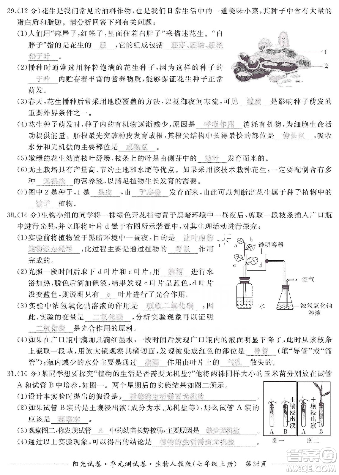 江西高校出版社2019陽光試卷單元測試卷七年級生物上冊人教版答案