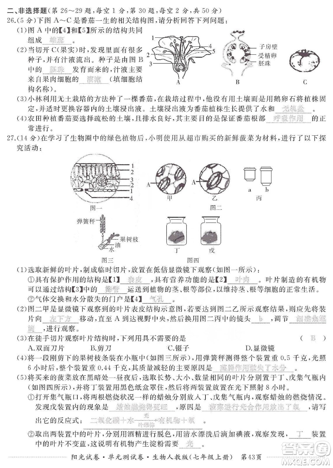 江西高校出版社2019陽光試卷單元測試卷七年級生物上冊人教版答案