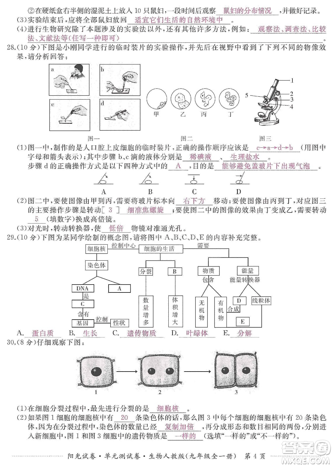 江西高校出版社2019陽光試卷單元測試卷九年級生物全一冊人教版答案