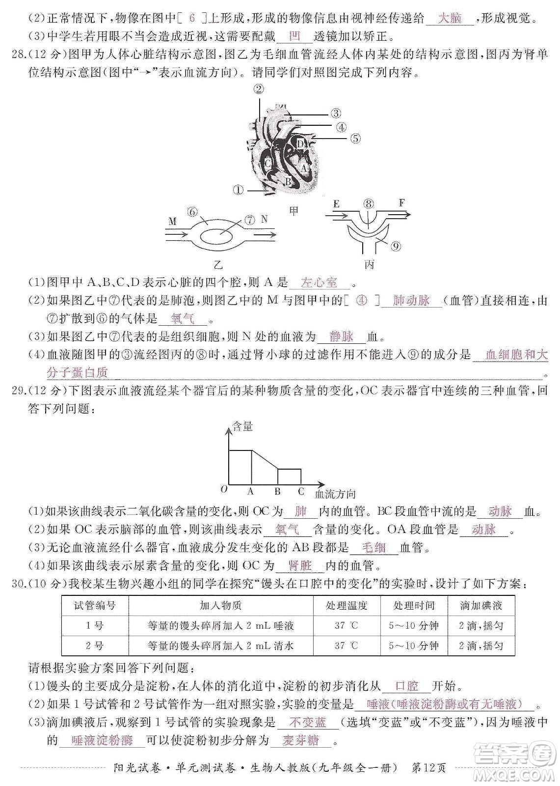 江西高校出版社2019陽光試卷單元測試卷九年級生物全一冊人教版答案