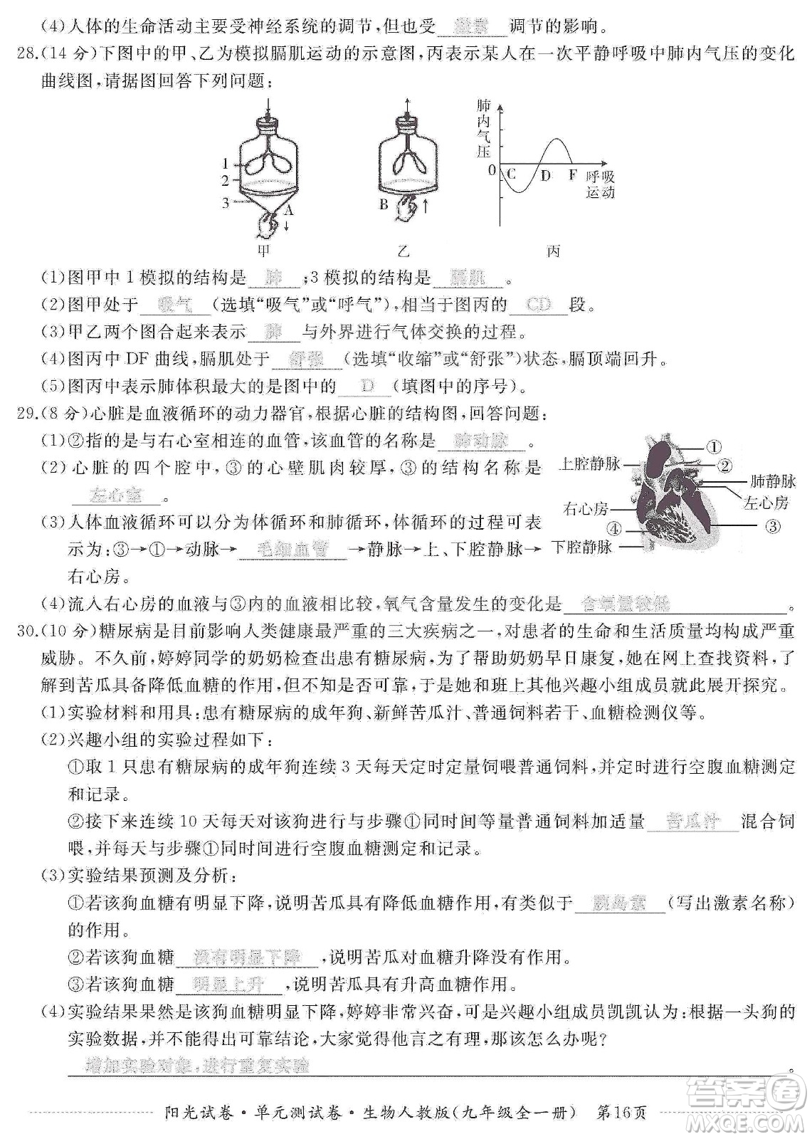 江西高校出版社2019陽光試卷單元測試卷九年級生物全一冊人教版答案