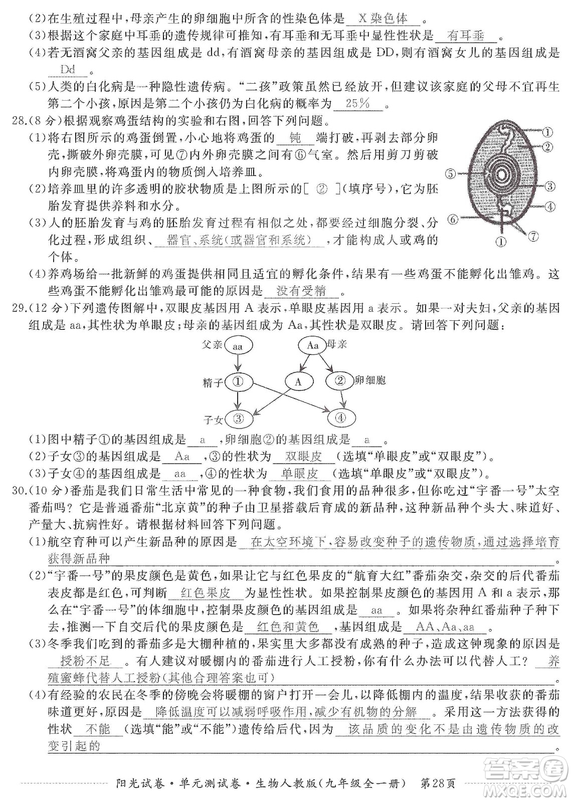 江西高校出版社2019陽光試卷單元測試卷九年級生物全一冊人教版答案