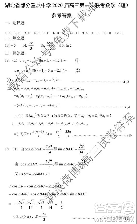 湖北部分重點中學(xué)2020屆高三第一次大聯(lián)考理科數(shù)學(xué)試題及答案