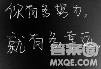 網絡流行語的使用材料作文800字 關于網絡流行語的使用的作文800字