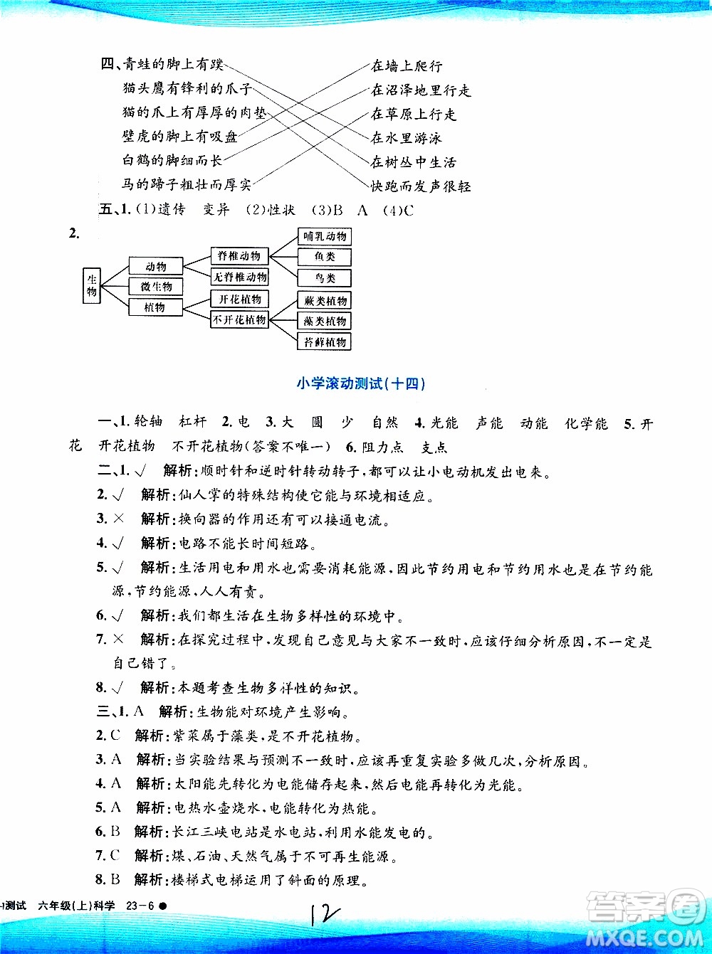 孟建平系列叢書2019年小學(xué)滾動測試科學(xué)六年級上冊J教科版參考答案