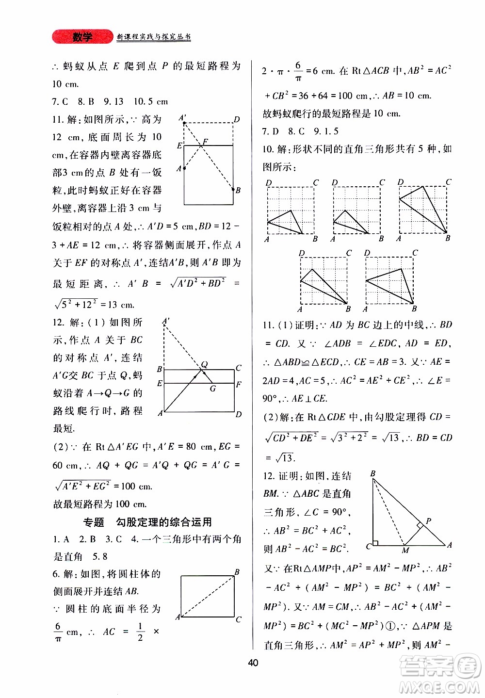 2019年新課程實(shí)踐與探究叢書數(shù)學(xué)八年級上冊華東師大版參考答案