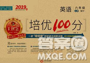 2019秋外研版王朝霞培優(yōu)100分六年級英語上冊答案