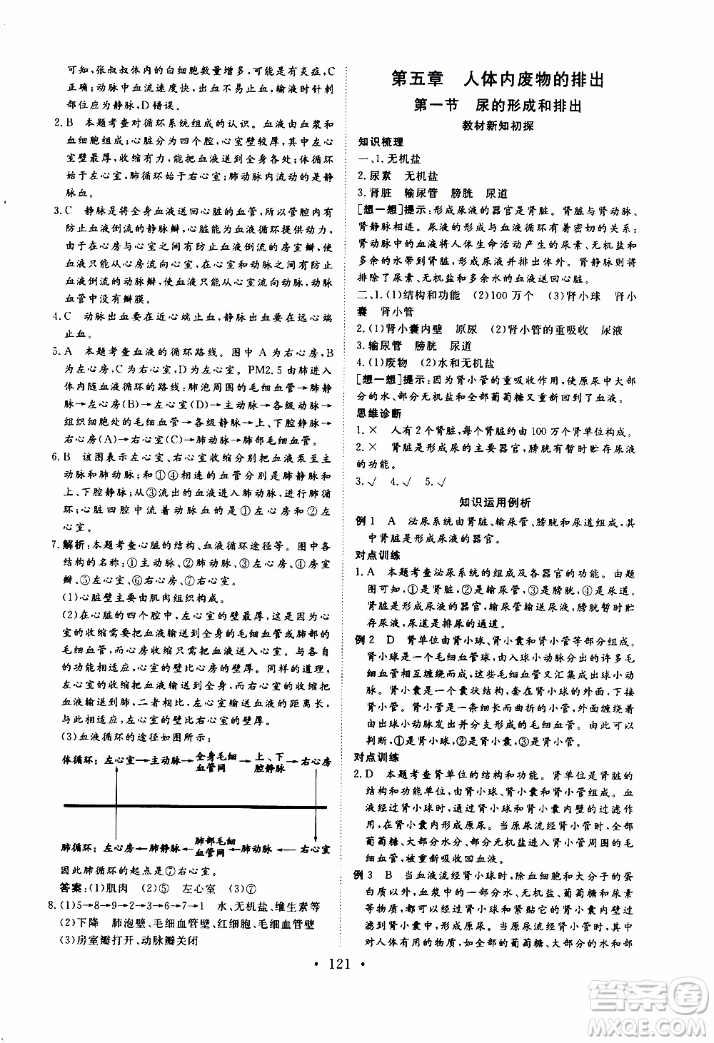 2019年新動(dòng)力課堂與檢測生物學(xué)七年級(jí)上冊(cè)參考答案