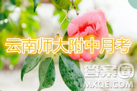 2020屆云師大附中高考適應(yīng)性月考四語(yǔ)文試題及參考答案