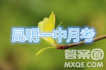 2020屆昆明一中高三第三次月考理科數(shù)學(xué)試題及答案