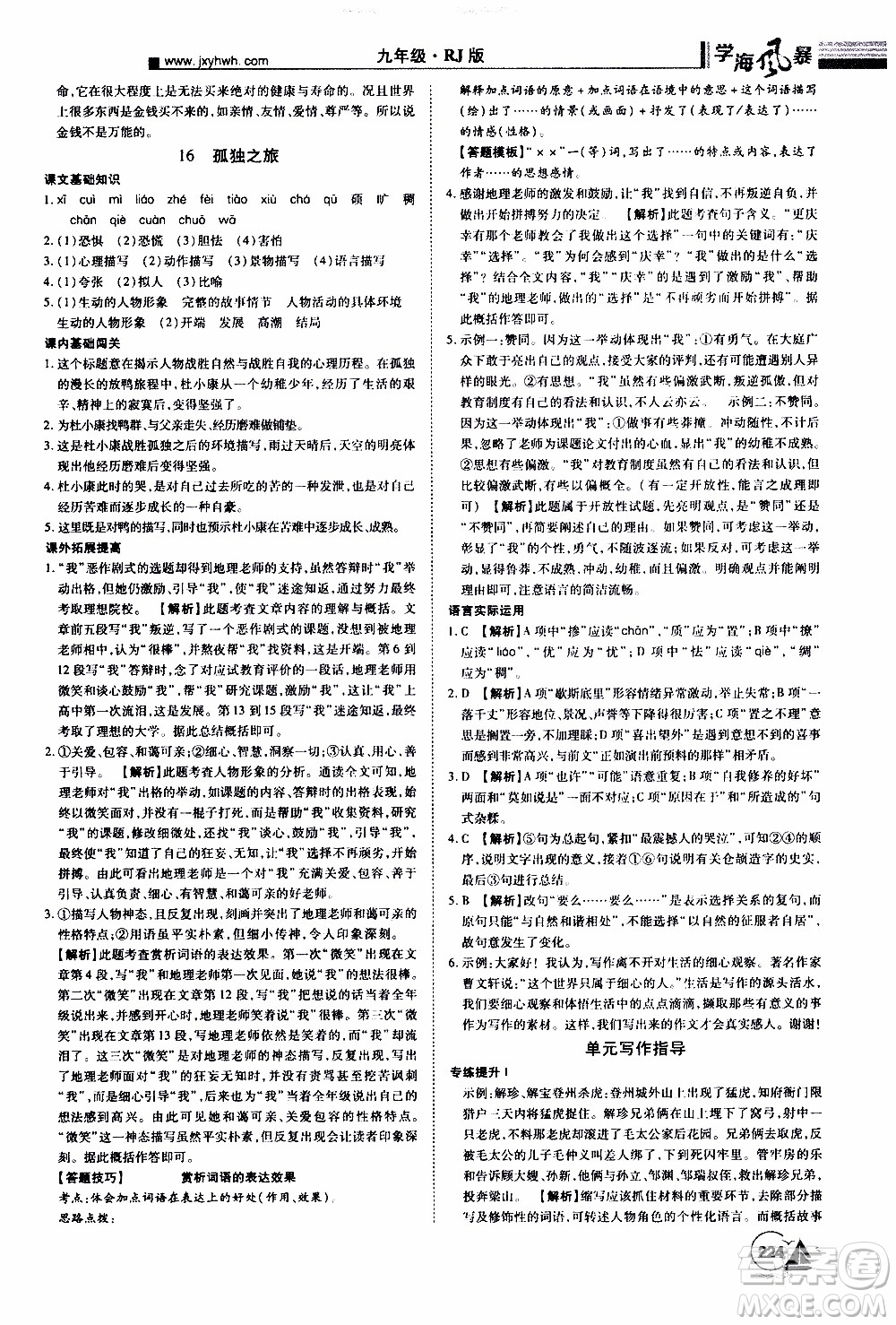 宇恒文化2019年學(xué)海風(fēng)暴初中同步系列語(yǔ)文九年級(jí)上冊(cè)RJ人教版參考答案