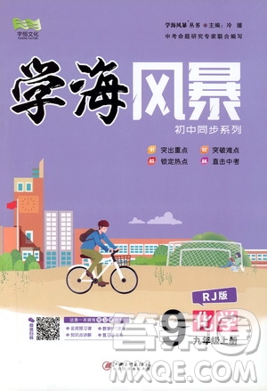 宇恒文化2019年學(xué)海風(fēng)暴初中同步系列化學(xué)九年級上冊RJ人教版參考答案