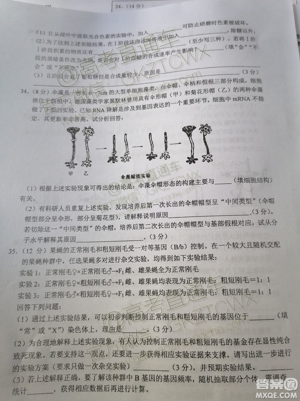 2020屆江西省上饒市民?？荚嚶?lián)盟高三理科綜合試題答案