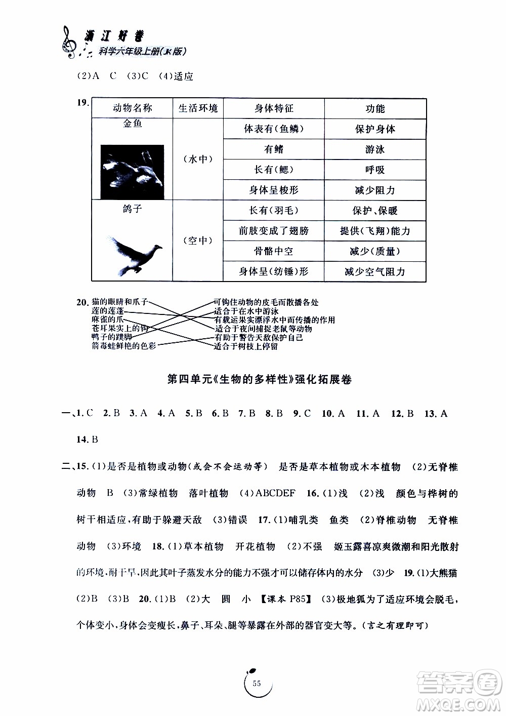 寧波出版社2019年浙江好卷科學六年級上冊JK教科版參考答案