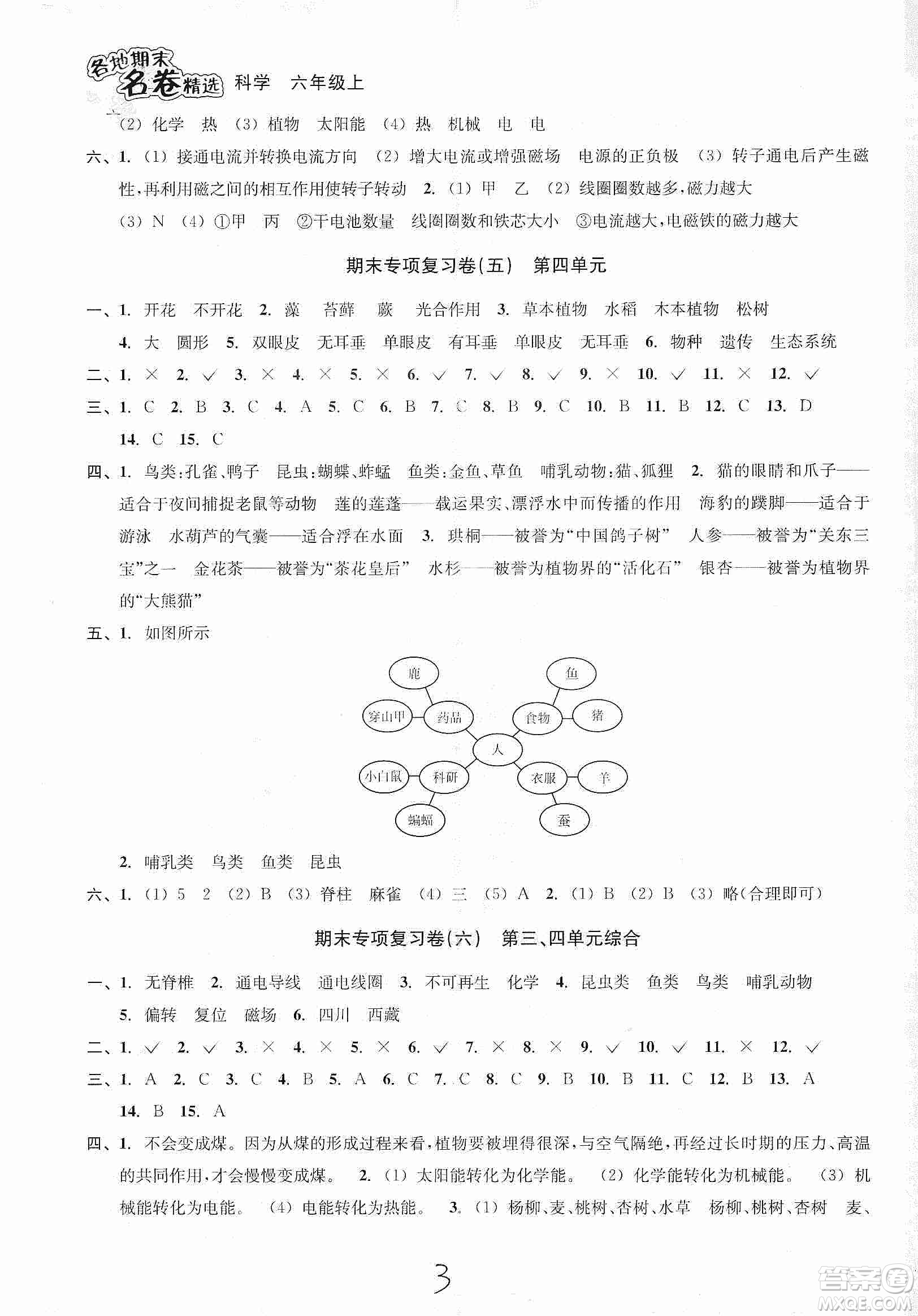 浙江教育出版社2019各地期末名卷精選六年級科學上冊人教版答案