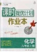 江蘇人民出版社2019課時提優(yōu)計劃作業(yè)本九年級化學上冊滬教版答案