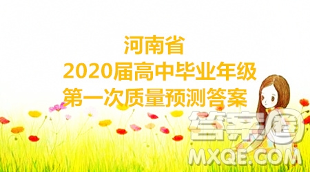 河南省2020屆高中畢業(yè)年級第一次質量預測化學試題及參考答案