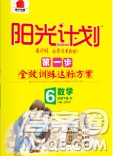 中國原子能出版社2020春季陽光計(jì)劃第一步六年級數(shù)學(xué)下冊人教版答案